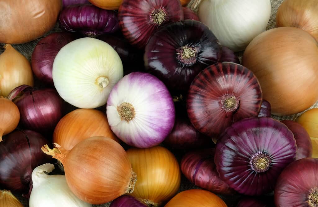 Quercetin: The Little Powerhouse Hiding in Your Kitchen